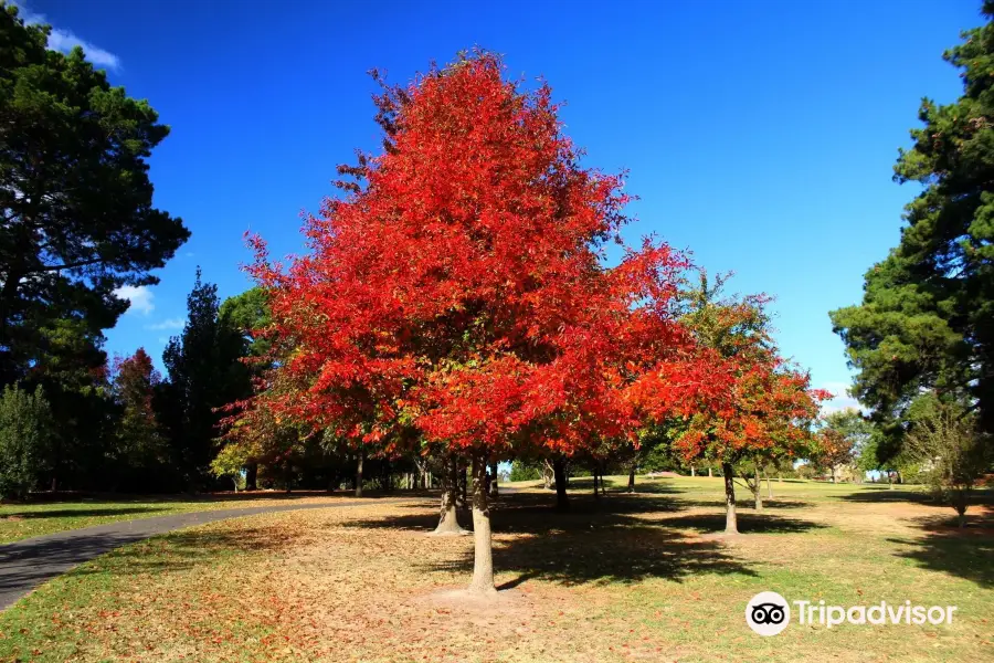 McAlpin Reserve