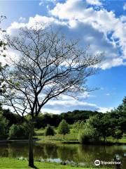 Le Jardin des Kangourous