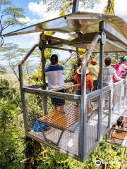 Veragua Rainforest Park