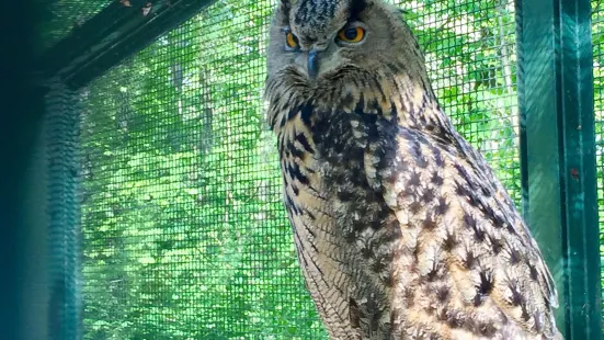 Wildpark Leipzig