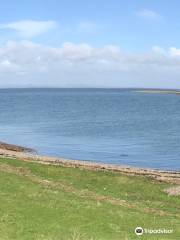 South Walney Nature Reserve