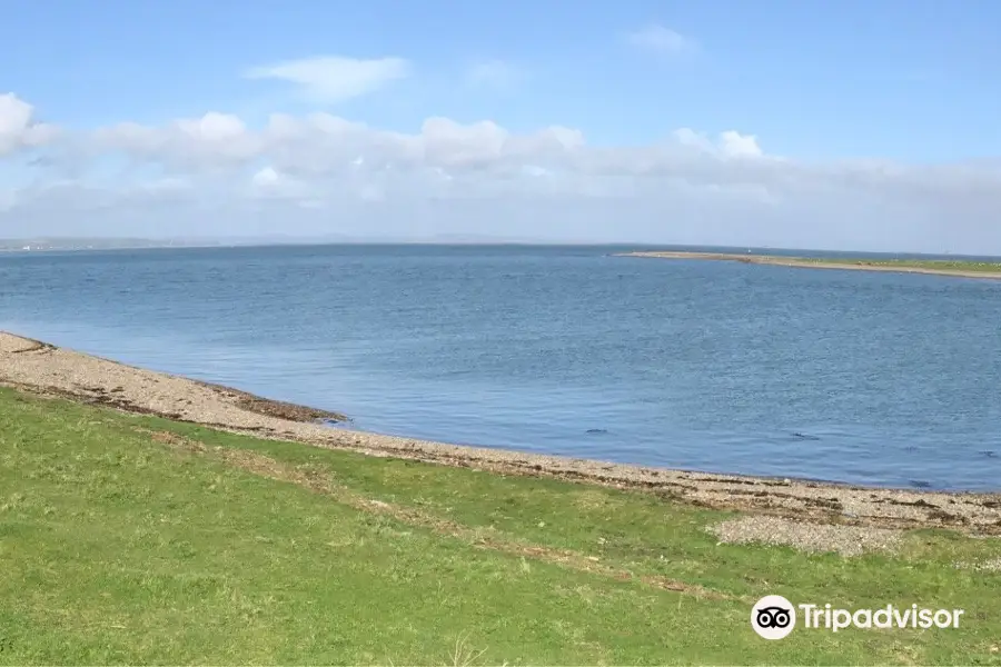 South Walney Nature Reserve