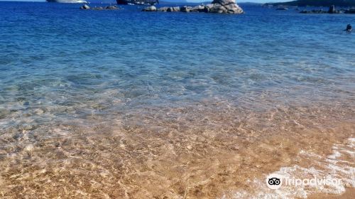 Spiaggia Li Triceddi