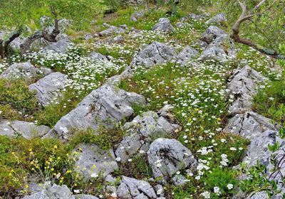 Javna ustanova ''Park prirode Vransko jezero'' - uprava