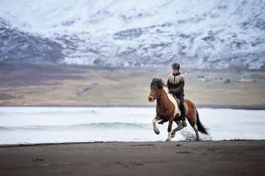 Skagafjordur