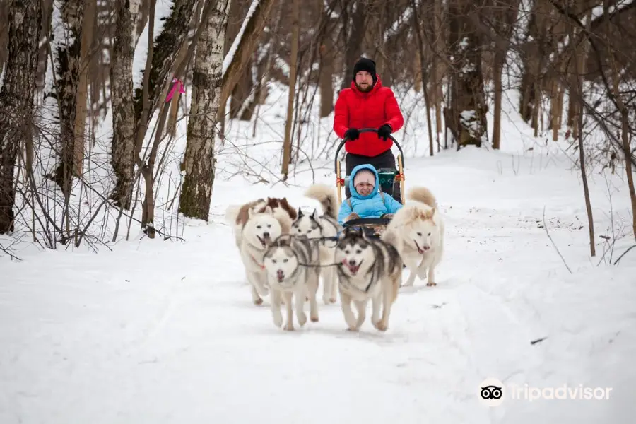 Husky-Park