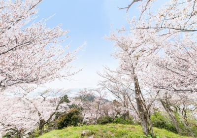 Kamijima