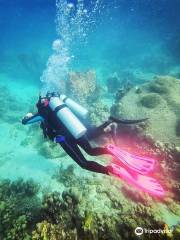 Dive Center at Sandals Halycon Beach