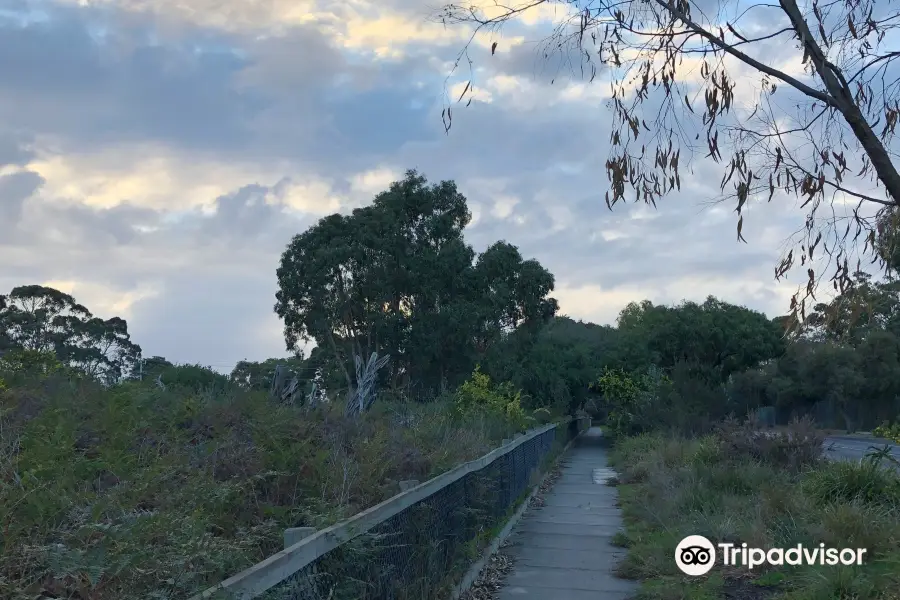 George Street Reserve