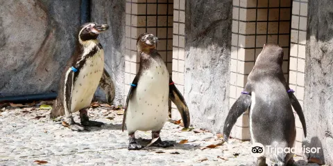 Nijino Mori Koen Osakanakan