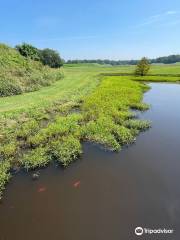 Moundville Archaeological Park