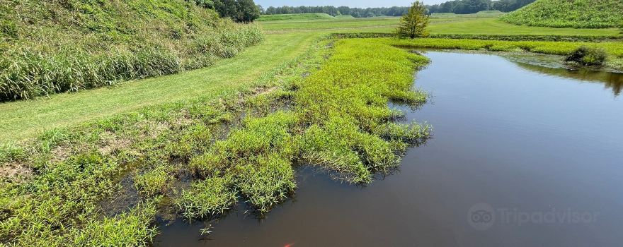Moundville Archaeological Park