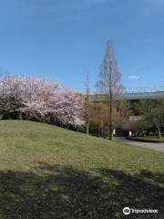 니시키노하마 공원