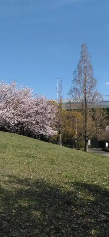鄰近Nishikinohama Beach Park的酒店
