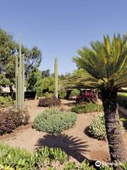 Argotti Botanic Gardens and Resources Centre (University of Malta Section)