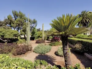 Argotti Botanic Gardens and Resources Centre (University of Malta Section)