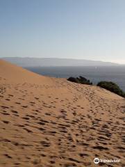 Dunas de Concón