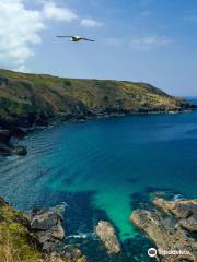 Zennor Circular Walk - South West Coast Path Walk