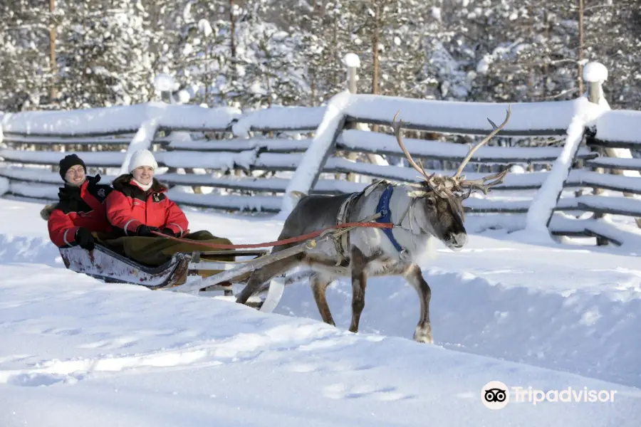 Arctic Lifestyle