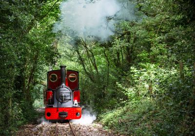 Perrygrove Railway Tourist Attraction