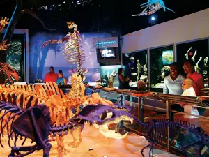 Musée d'histoire naturelle de Floride
