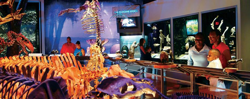 Musée d'histoire naturelle de Floride