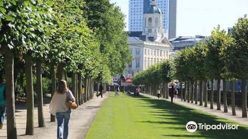 Parc de Bruxelles