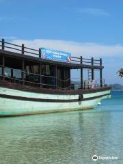 Blue Coral Diving