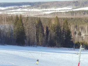 Центр лыжного и горнолыжного спорта Малиновка