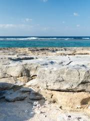海灘岩石