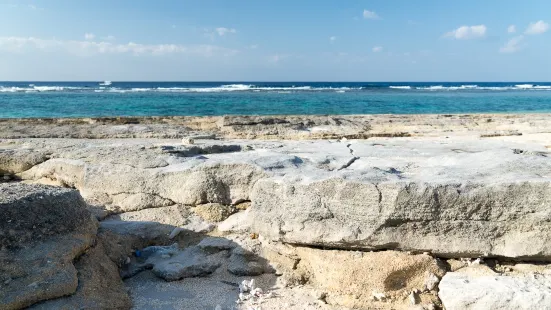 海灘岩石