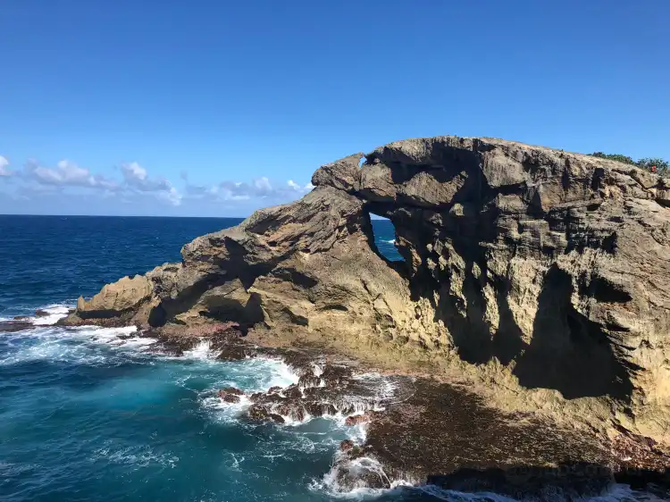 Camino Nuevo