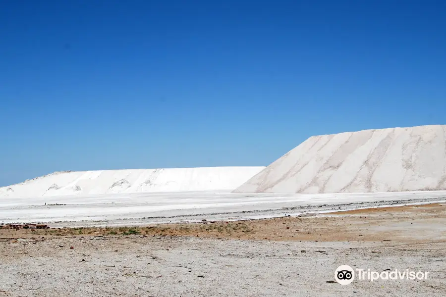 Salinas del Bebedero