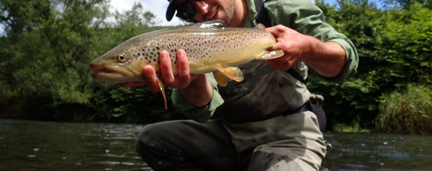 Filingo Fly Fishing