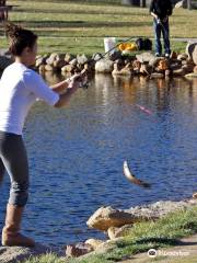 Trout Haven Fishing Pond