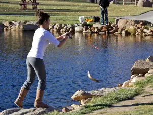 Trout Haven Fishing Pond