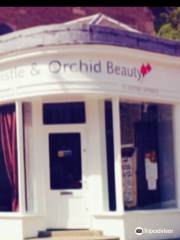 Thistle & Orchid Beauty Ltd
