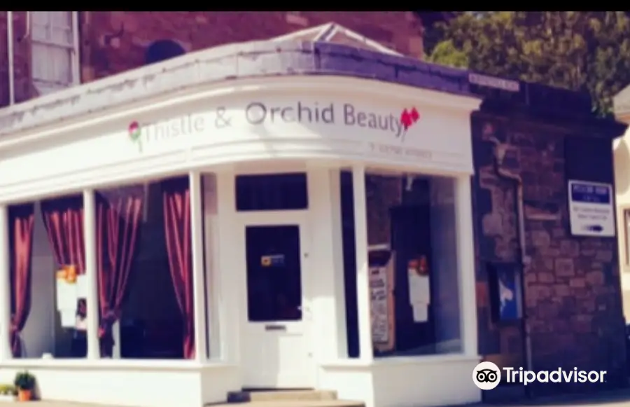 Thistle & Orchid Beauty Ltd