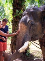 Sonchana Farm and Elephant Sanctuary