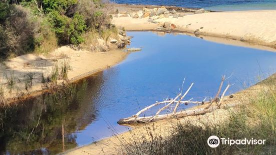 Safety Cove beach