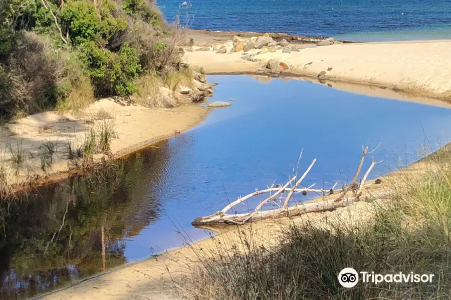 Safety Cove beach