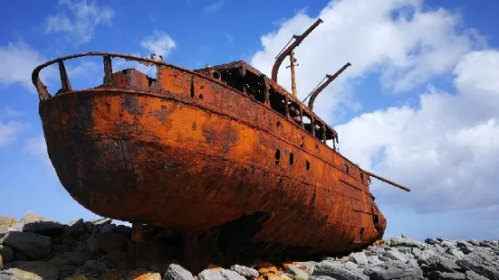 Plassey Wreck