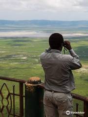 ThisAndThat Safaris