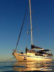 Coral Sea Dreaming Dive and Sail