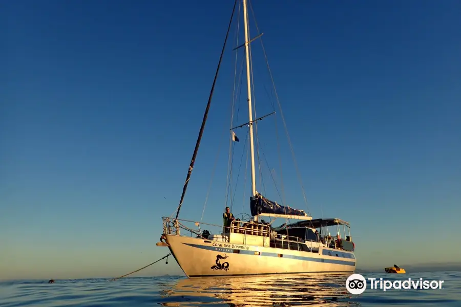 Coral Sea Dreaming Dive and Sail