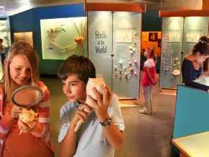 Corpus Christi Museum of Science and History