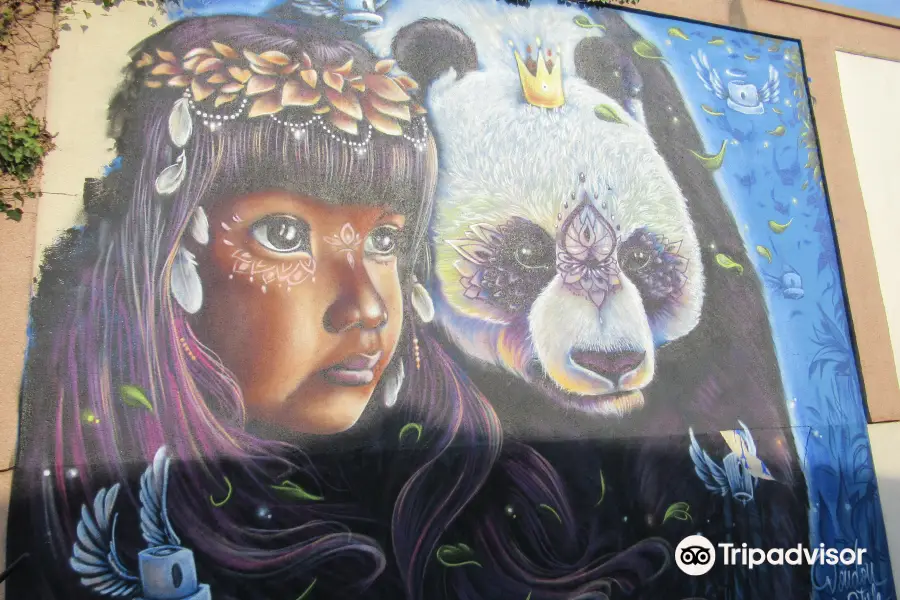 Fresque Femme Et Panda