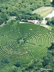 Labyrinthe Géant des Monts de Guéret