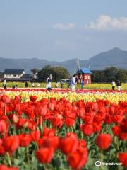 Akatsuki Farm Imazaike