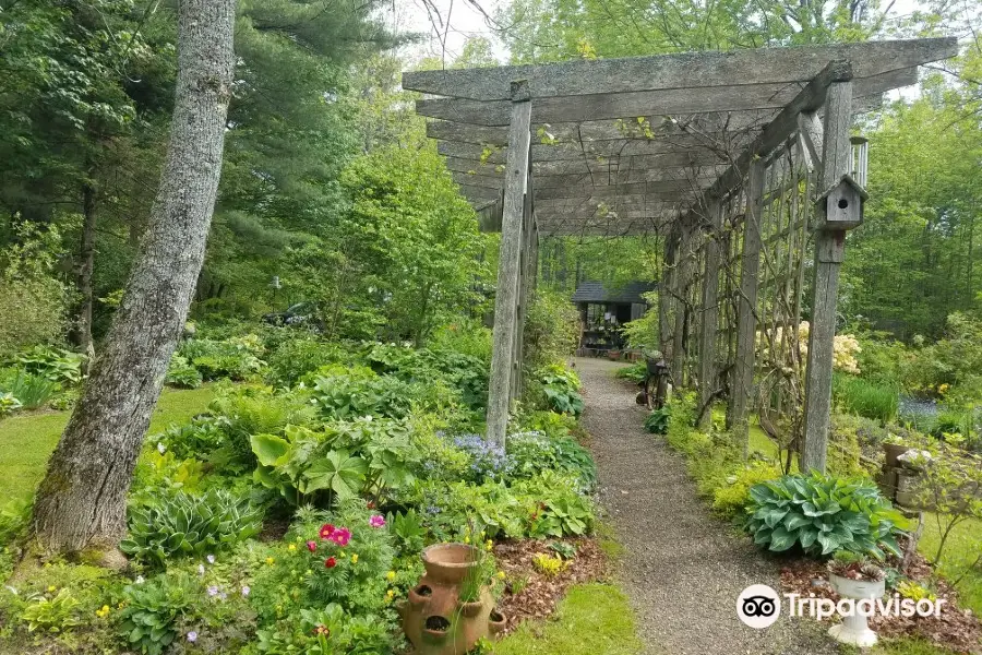 Fernwood Nursery & Gardens